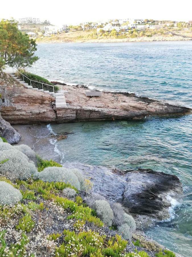 Sea Satin Sounio Lägenhet Sunion Exteriör bild